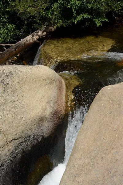 DSC_3803 (Large).JPG